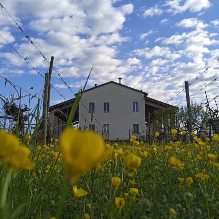 agriturismo boccette esterno