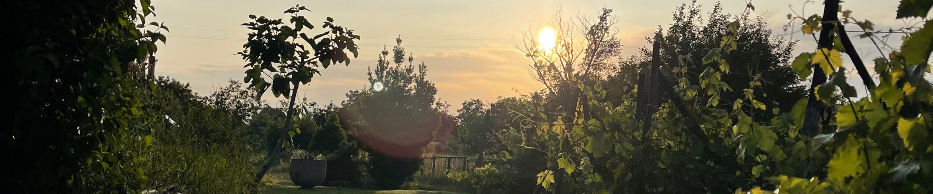 news - agriturismo boccette